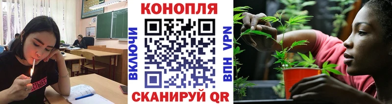 blacksprut как войти  Тбилисская  Шишки марихуана OG Kush 
